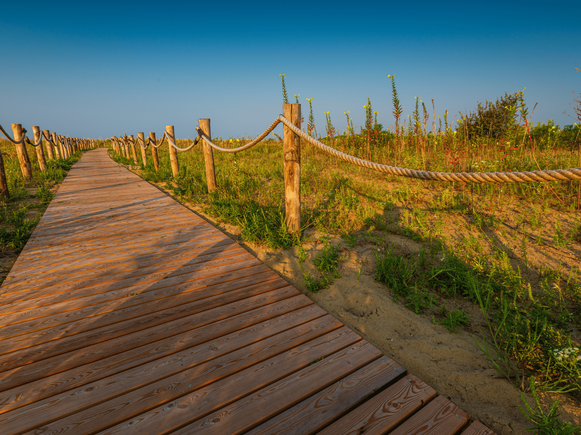 Bike Tour Bibione: 5 itinerari top da fare