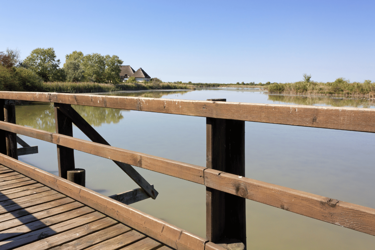 Laguna di Marano escursioni: scopri la natura incontaminata