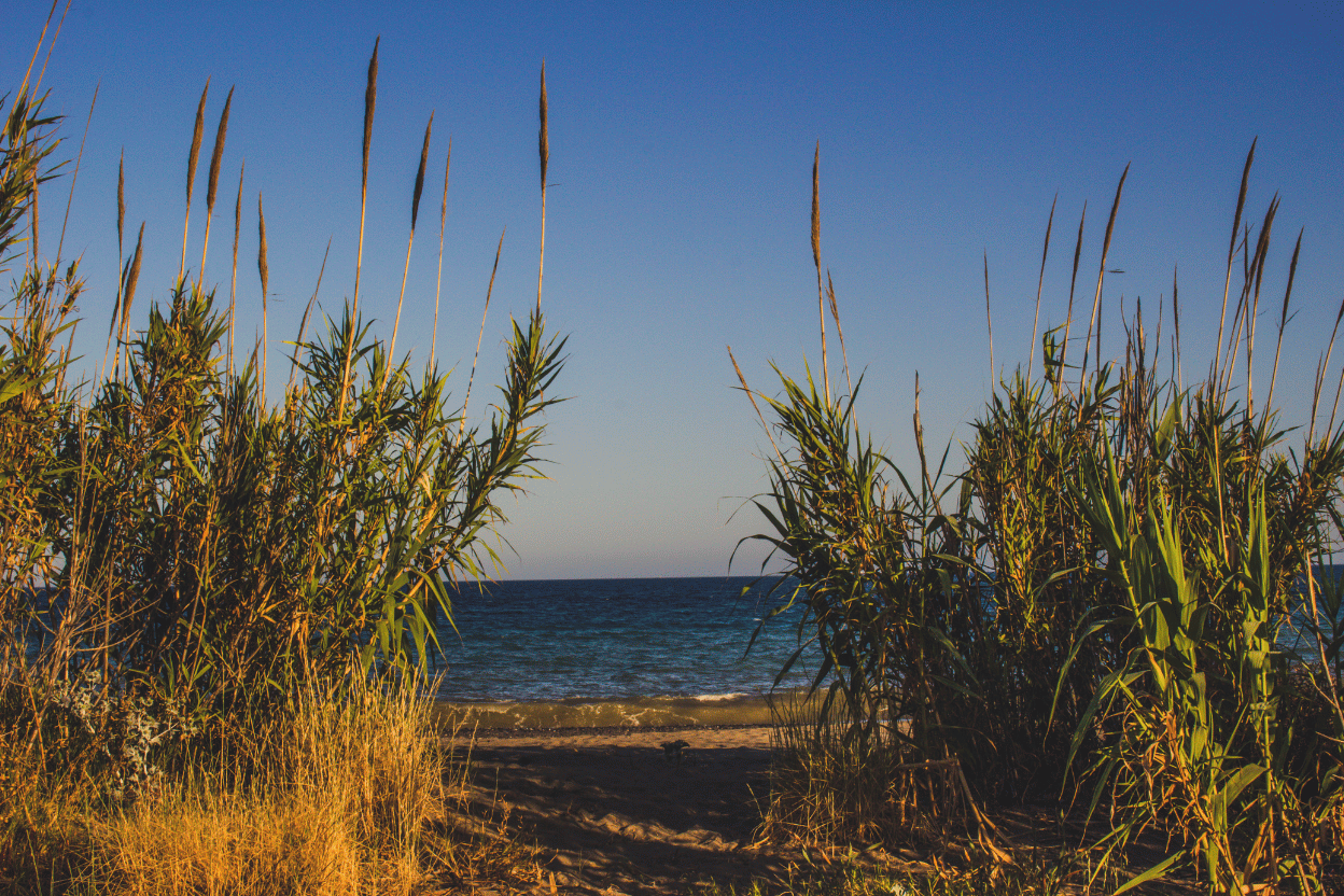 La Brussa: scopri l’incantevole oasi di Vallevecchia