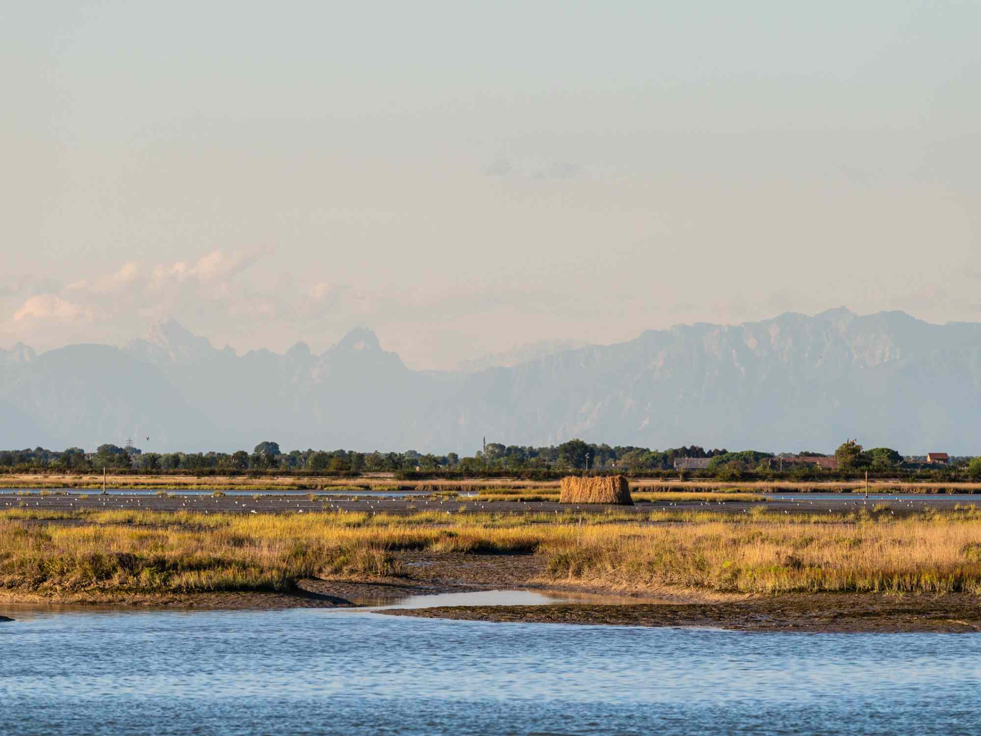 Bibione Valgrande: your oasis with 300+ hectares to explore